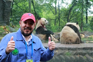 2-Day Chengdu China Panda Tour: Volunteer at Dujiangyan and Explore Mount Qingcheng's Scenic Wonders